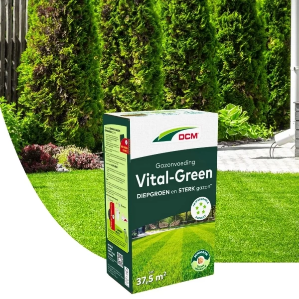 DCM Vital Green 